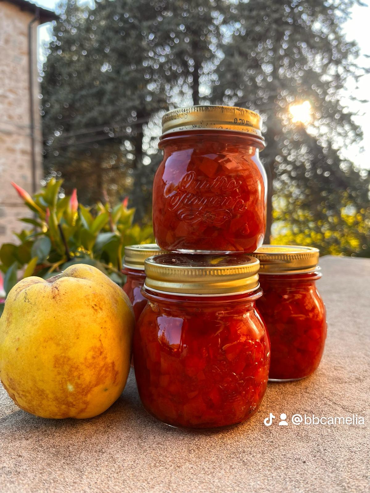 Vasetti di marmellata di mele cotogne in giardino