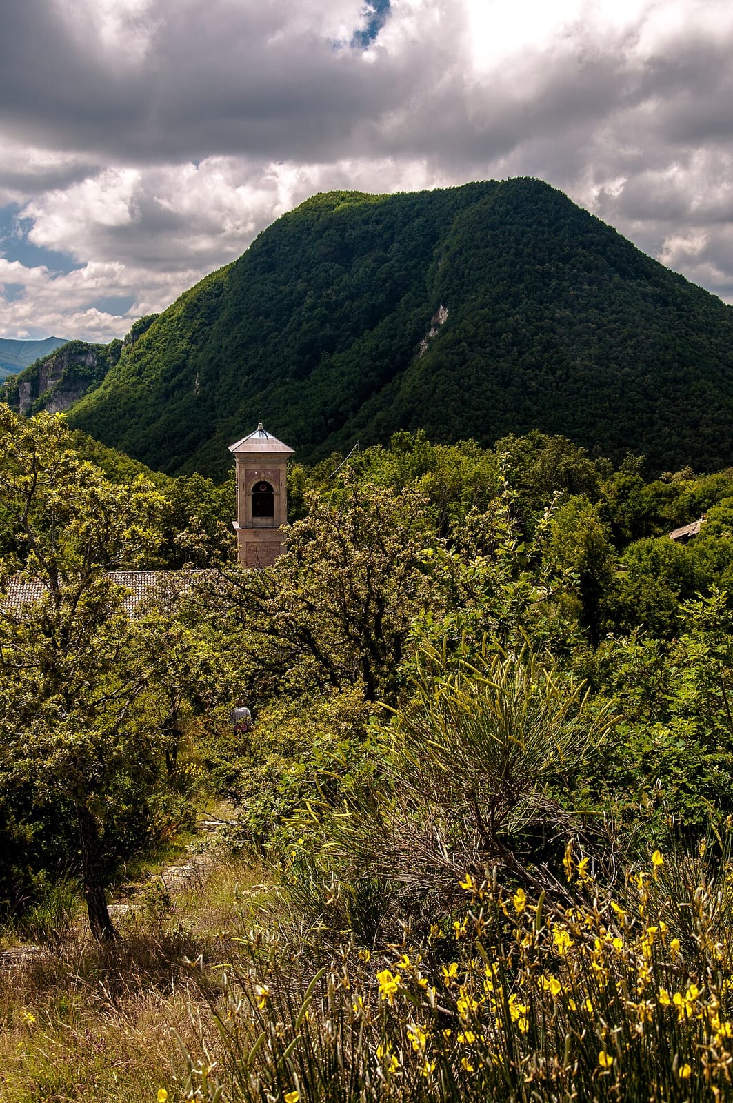 Il campanile del santuario di Montovolo tra i boschi