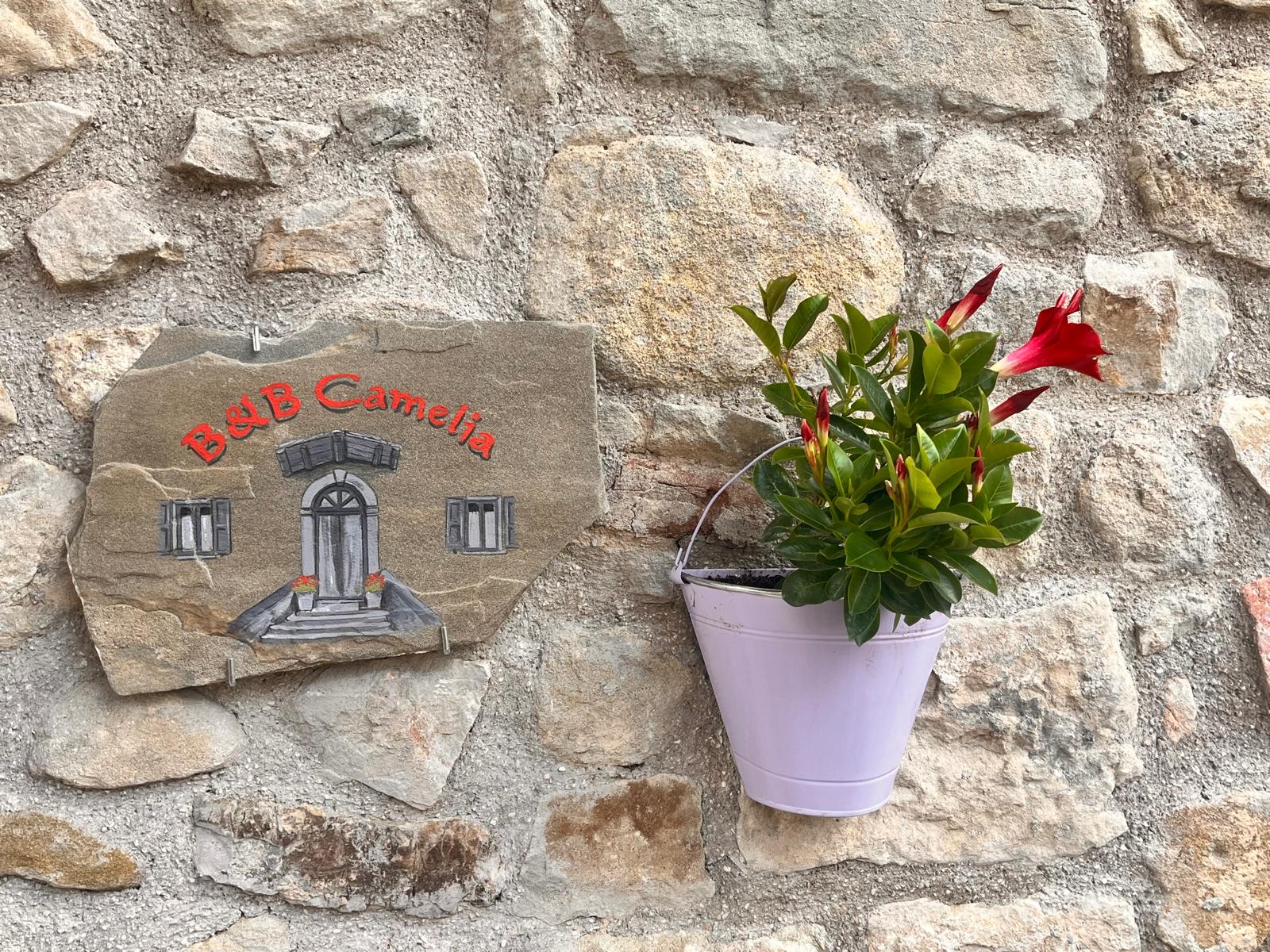 Soggiorno appartamento Rosathea